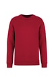 Heren Sweater Ecologische Ecologische NS400 HIBISCUS RED